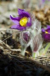 Similar image 6440513