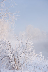 Similar image 6440514