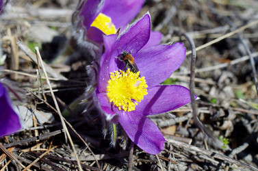 Similar image 6440515