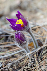 Similar image 6440516