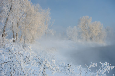 Similar image 6440517