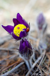 Similar image 6440518