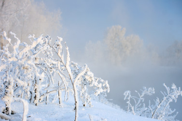 Similar image 6440519