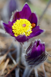 Similar image 6440520