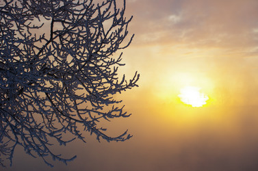 Similar image 6440524