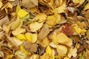 Similar image 6440525