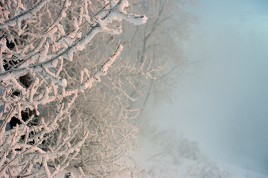 Similar image 6440526