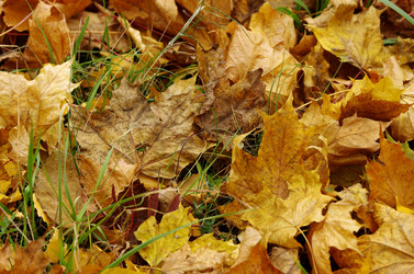 Similar image 6440527