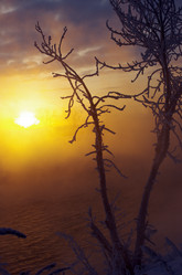 Similar image 6440528