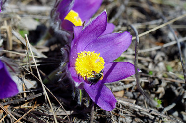 Similar image 6440530