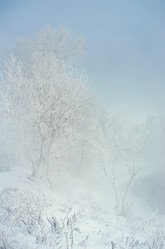 Similar image 6440531