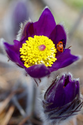 Similar image 6440532