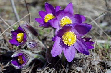 Similar image 6440534