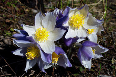 Similar image 6440535