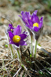 Similar image 6440536