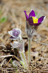 Similar image 6440537