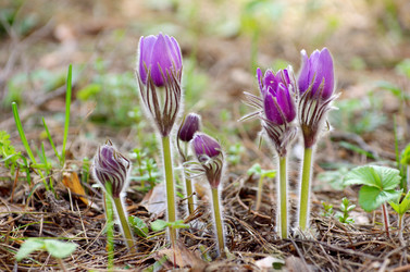 Similar image 6440538