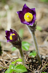 Similar image 6440539