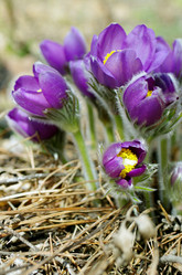 Similar image 6440540