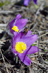 Similar image 6440542