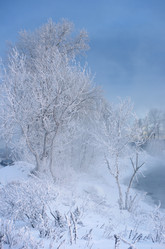 Similar image 6440543