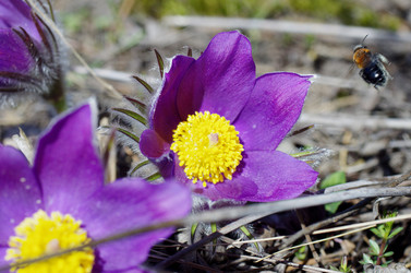 Similar image 6440544