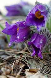 Similar image 6440547