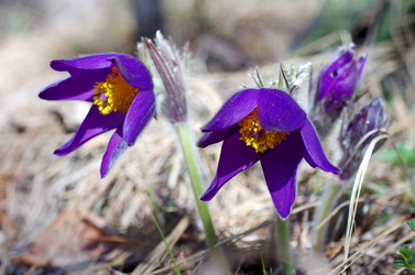 Similar image 6440548