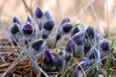 Similar image 6440549