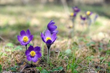 Similar image 6440550