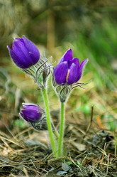 Similar image 6440551