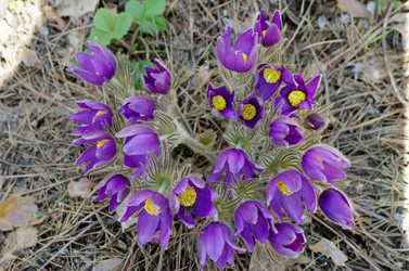 Similar image 6440552