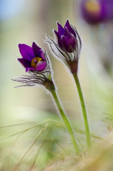 Similar image 6440553