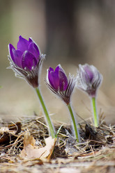 Similar image 6440554