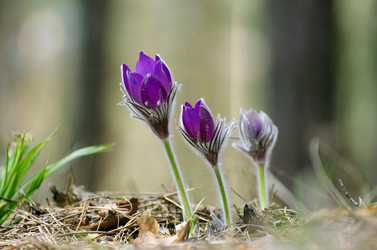 Similar image 6440555