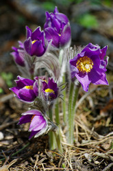 Similar image 6440556