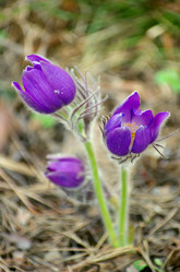 Similar image 6440557