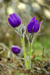 Similar image 6440558