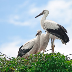 Similar image 6440671