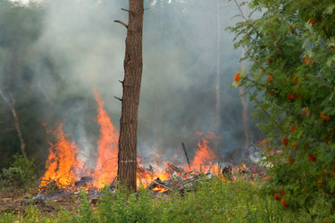 Similar image 6440704