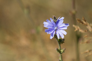 Similar image 6440709