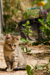 Similar image 6440712