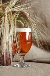 Similar image 6440827