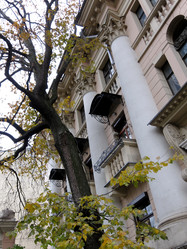 Similar image 6440881