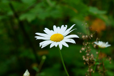 Similar image 6440898