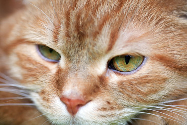 Similar image 6440922