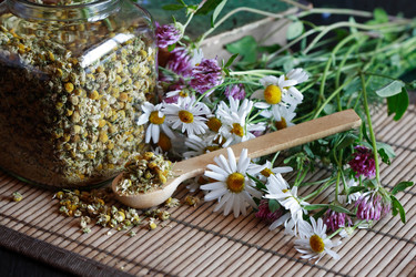 Similar image 6440923