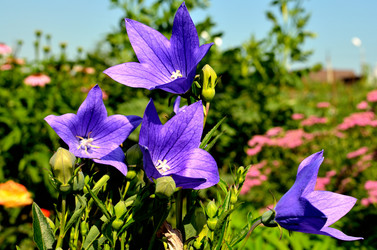 Similar image 6440937