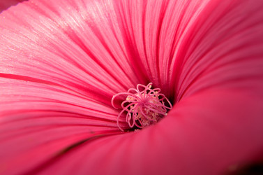 Similar image 6440938