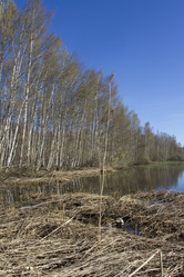 Similar image 6440945